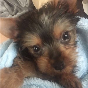 Meet your Posher, Maria